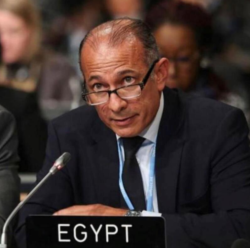 Ambassador Wael Aboulmagd